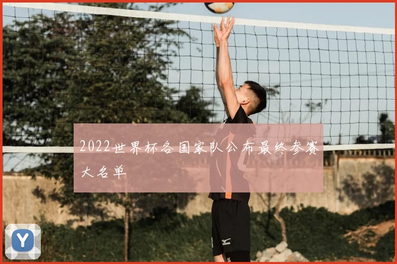 2022世界杯各国家队公布最终参赛大名单