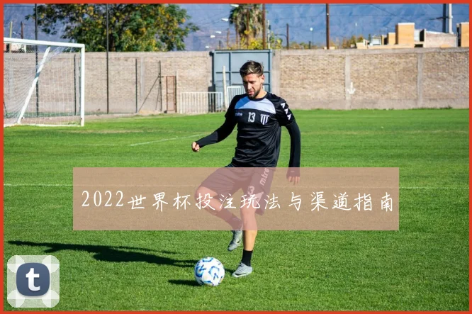 2022世界杯投注玩法与渠道指南