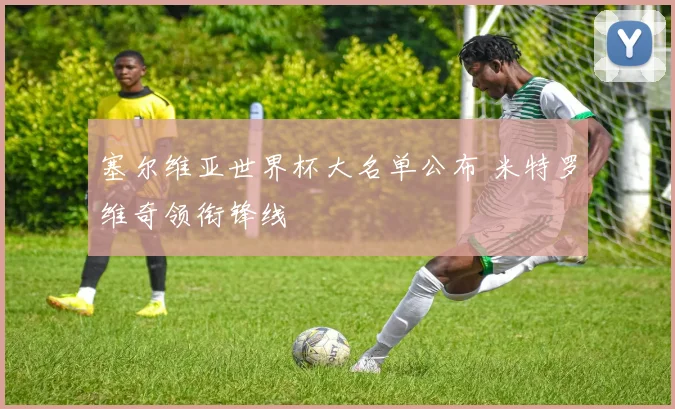 塞尔维亚世界杯大名单公布 米特罗维奇领衔锋线