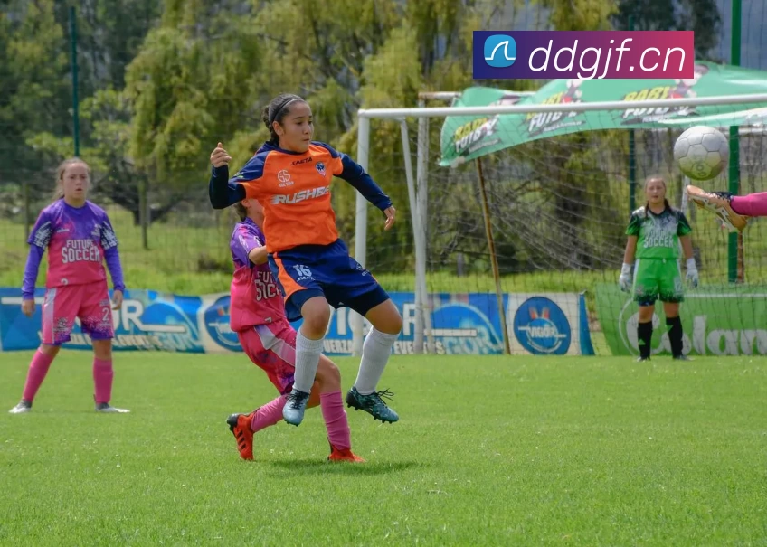 leyu乐鱼网页版登录入口品牌故事