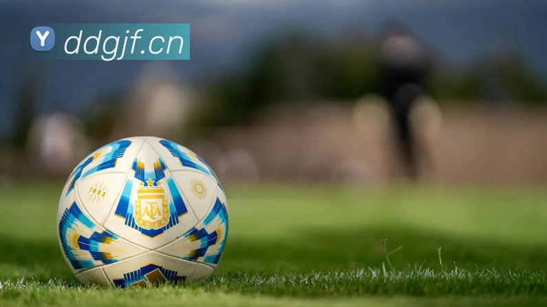 leyu乐鱼网页版登录入口服务体系